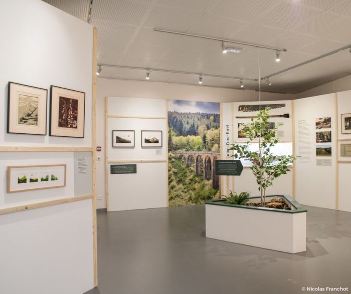 Visite de l’exposition « Impressions beaujolaises »