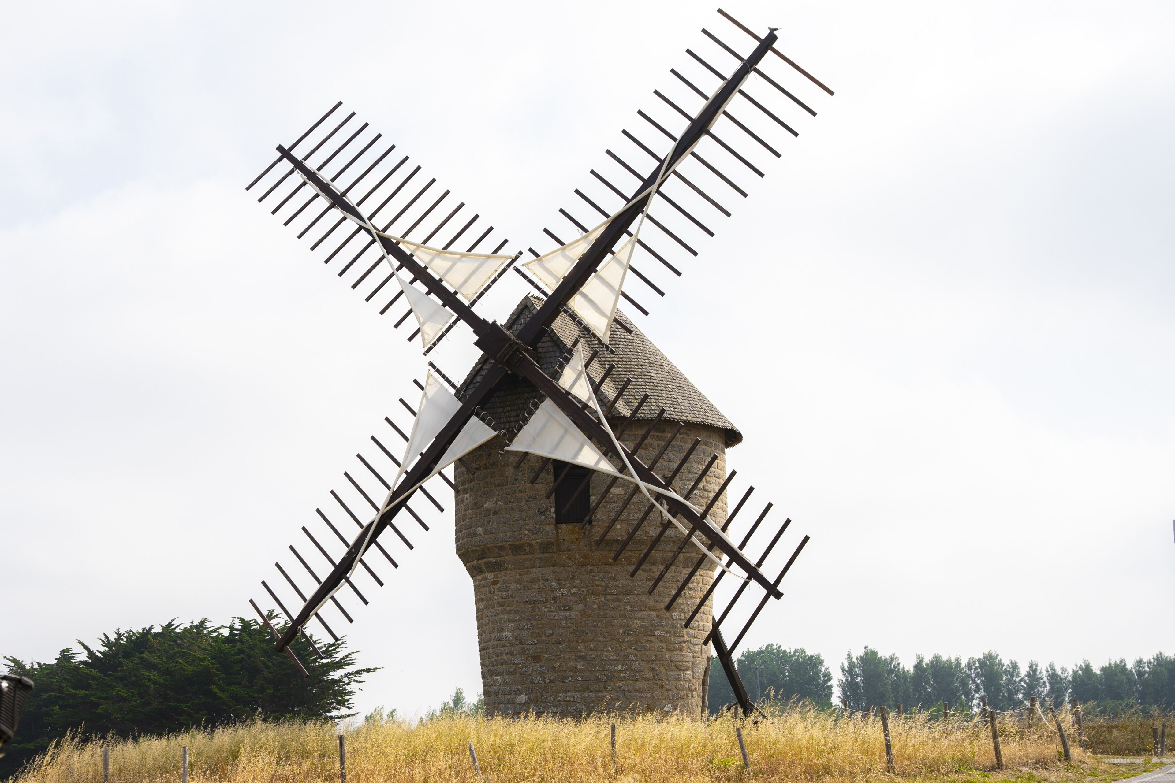 Visites du Moulin de la Falaise