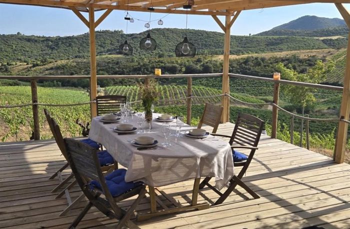 Vitichef : Balade vigneronne, dégustation & BBQ