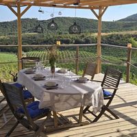 Vitichef : Balade vigneronne, dégustation & BBQ