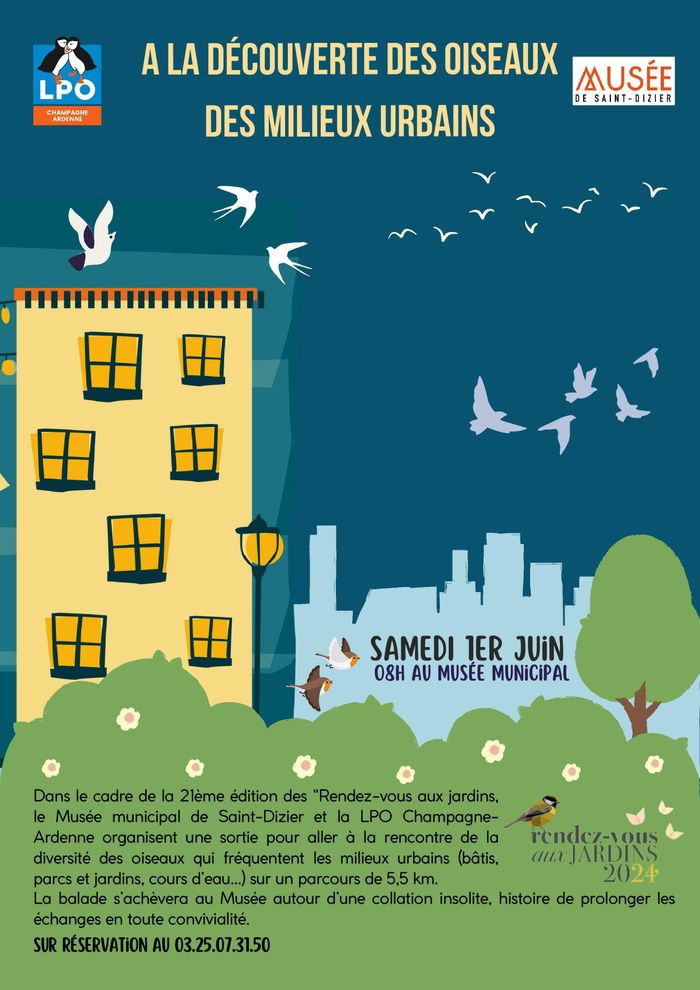 A la découverte des oiseaux des milieux urbains