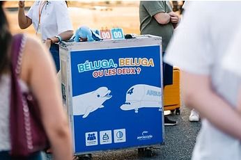 Béluga, Beluga ou les 2 ? - Les 4 et 17 août
