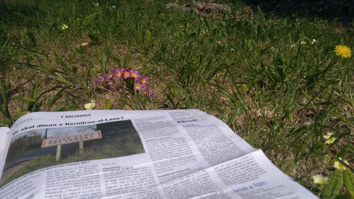 Formation sur la rédaction d'articles de presse en breton