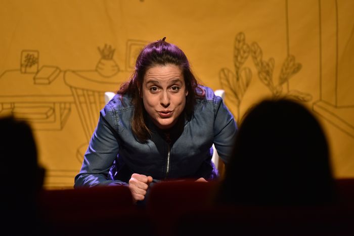 Amandine vient d’avoir un enfant.  Elle se sent seule, désœuvrée, sans repère. Elle remonte le temps et nous entraîne dans son histoire, à la rencontre de celle qu’elle était avant.