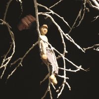 Spectacle - Victor enfant sauvage