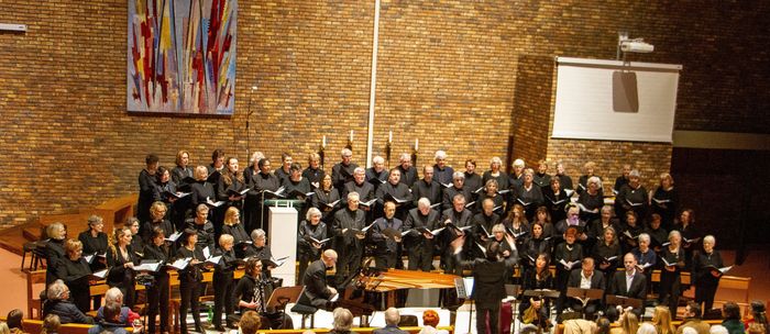 " Les Chœurs de la Pléiade ", 70 choristes dirigés par Stéphane Ung, présente la Petite Messe solennelle de Rossini, une œuvre intime et grandiose pour chœur, 4 solistes, piano et accordéon.