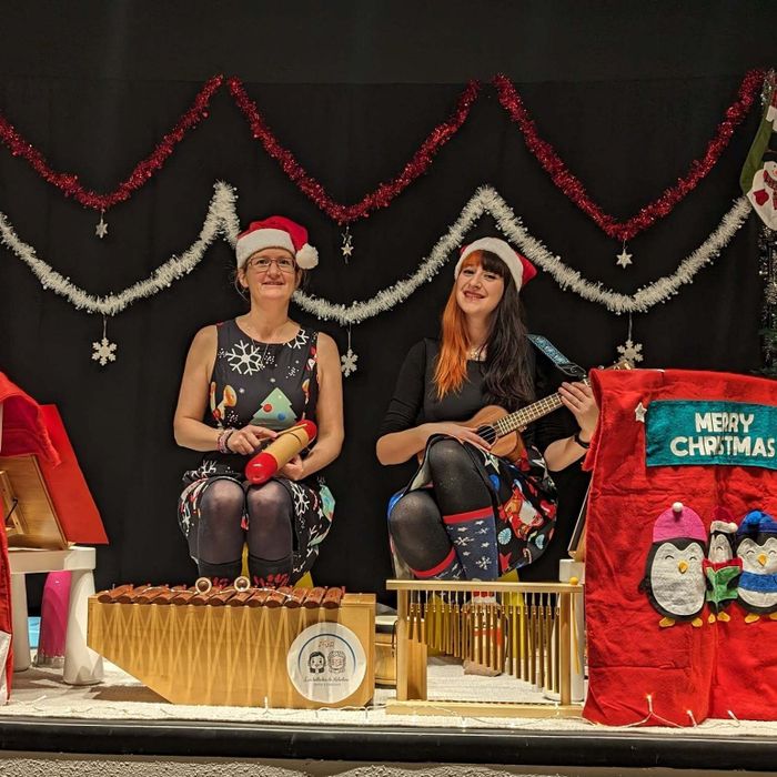 Préparer Noël en musique, entre bonhommes de neige, guirlandes scintillantes et une quinzaine d’instruments qui font briller les Ballades de Mélodine pour petits et grands.