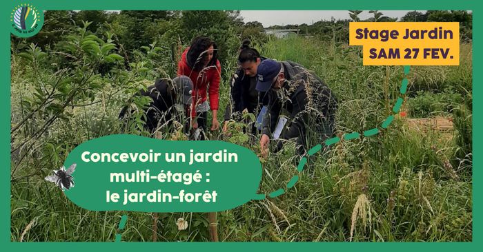 Stage 1 jour : Concevoir un jardin multi-étagé : le jardin-forêt