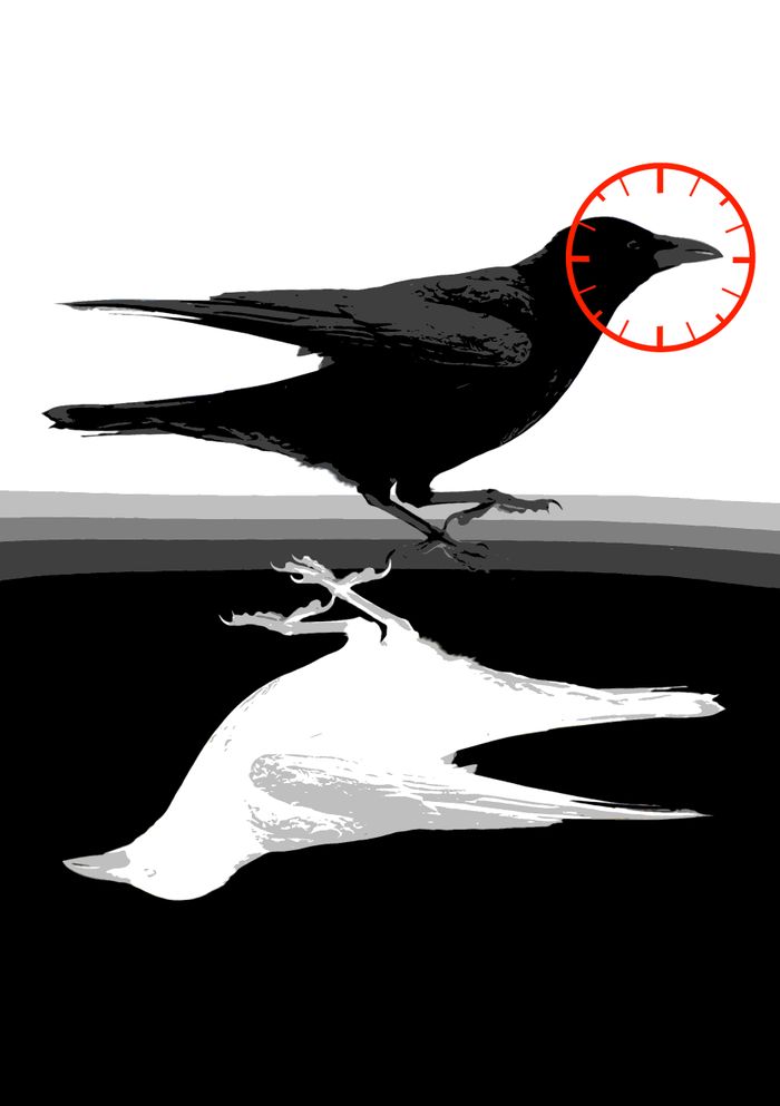 Spectacle : Faites entrer l'accusée