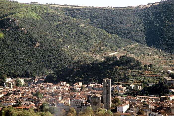 Les vestiges du Castellas de Montbrun