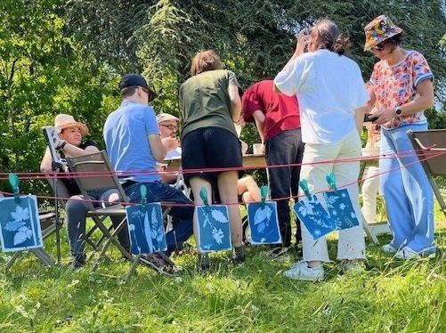 Sortie végétale et créative : Initiation au cyanotype