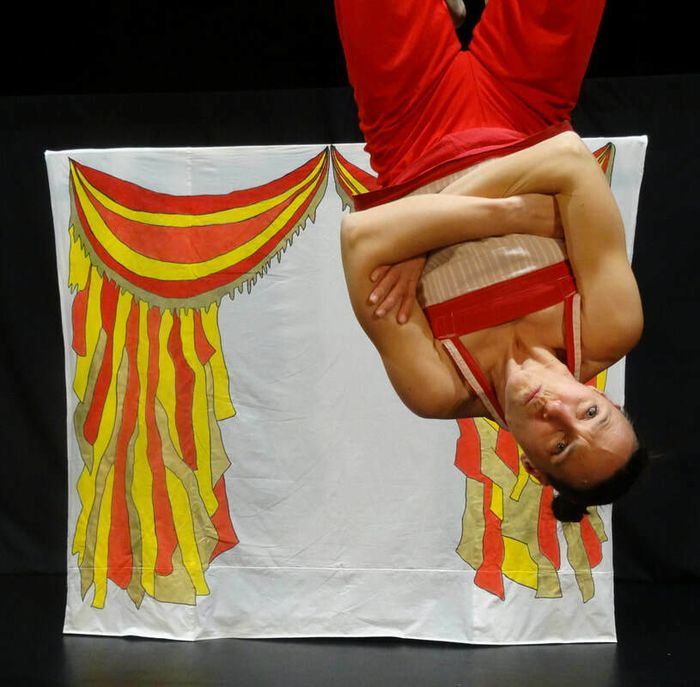 Circus / Spectacle de Noël
