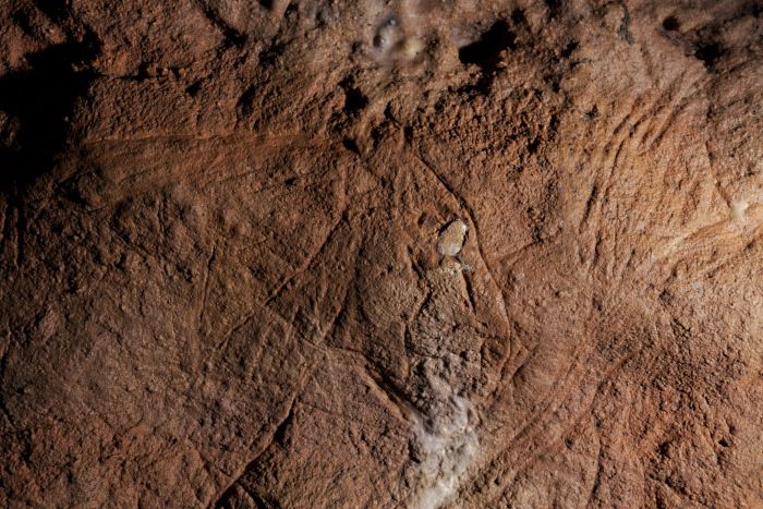 Visite commentée : découverte d'une grotte ornée du Paléolithique !
