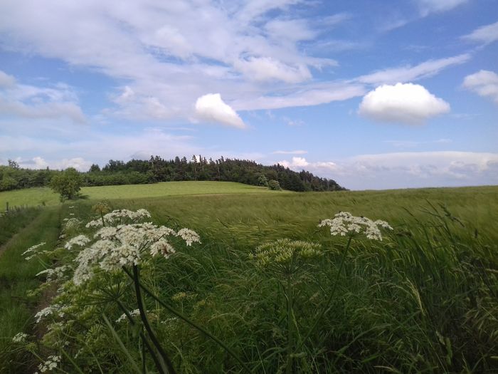 (transition intérieure) balades dans la nature de votre nature...