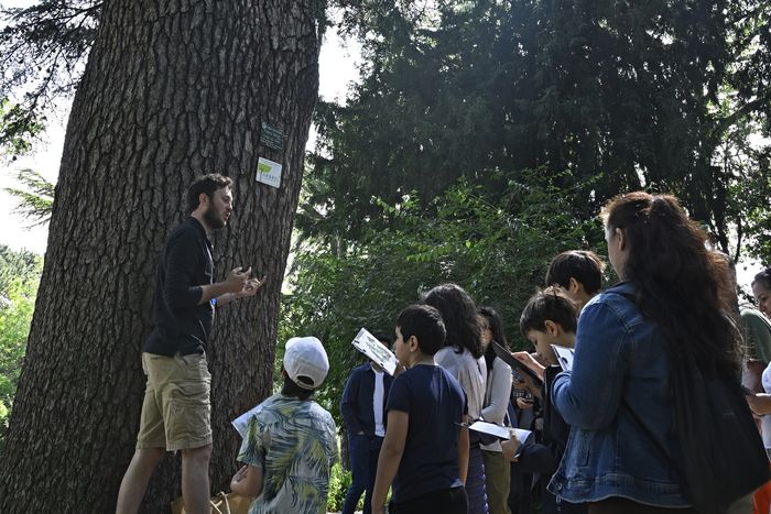 Visites guidée en famille du Jardin des Plantes "L'arbre à remonter le temps"