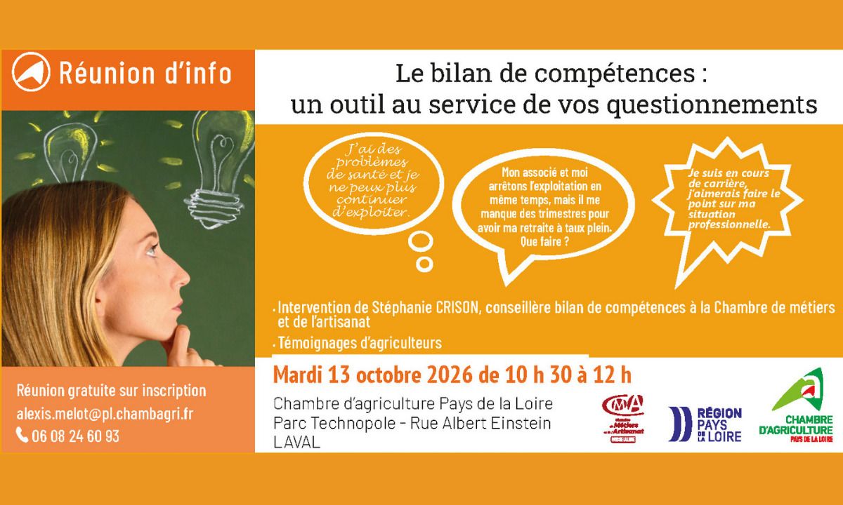 Le bilan de compétences : un outil au service de vos questionnements