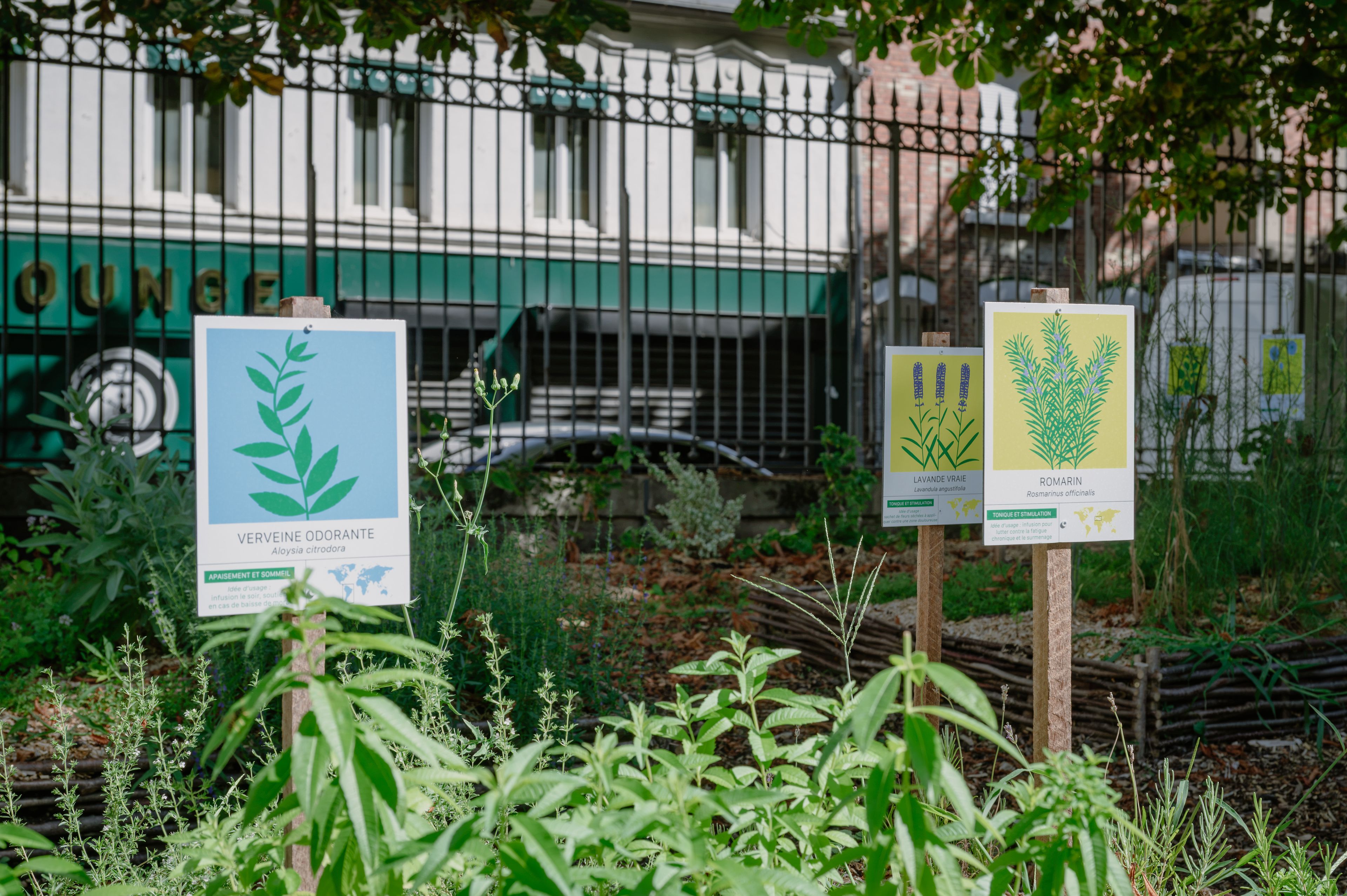Atelier en famille – Les plantes magiques