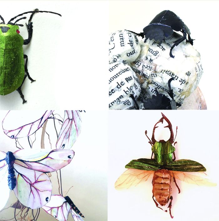 Exposition « Les insectes » d’Hélène Lacquement