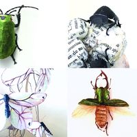Exposition « Les insectes » d’Hélène Lacquement