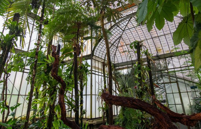 Visite guidée du Palmarium