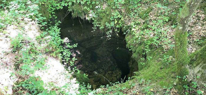 Escapades : Randonnée accompagnée des Gouffres de Trois-Fontaines-l'Abbaye
