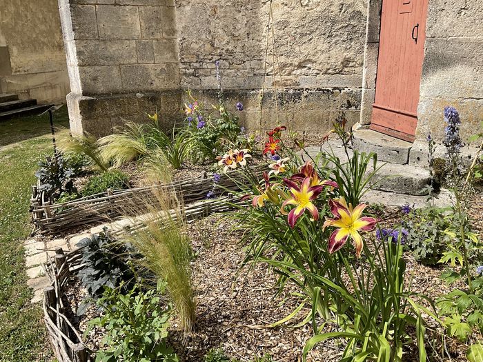 Découverte d'un parcours botanique