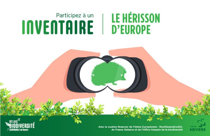 Enquête participative sur le hérisson d'Europe