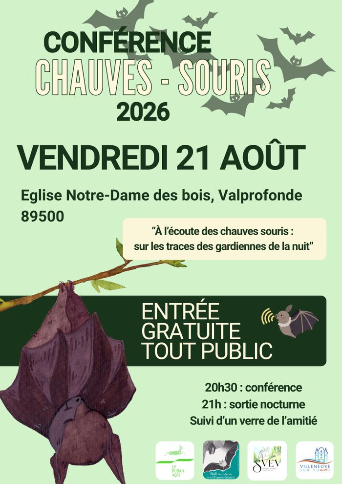 À l’écoute des chauves-souris : sur les traces des gardiennes de la nuit