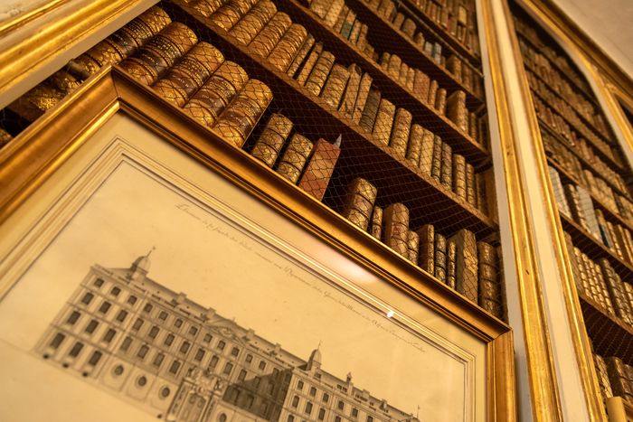 Les bibliothèques personnelles d'une reine et d'une favorite, le bureau d'un lecteur de l'au-delà, des cachettes et un dédale de livres...
