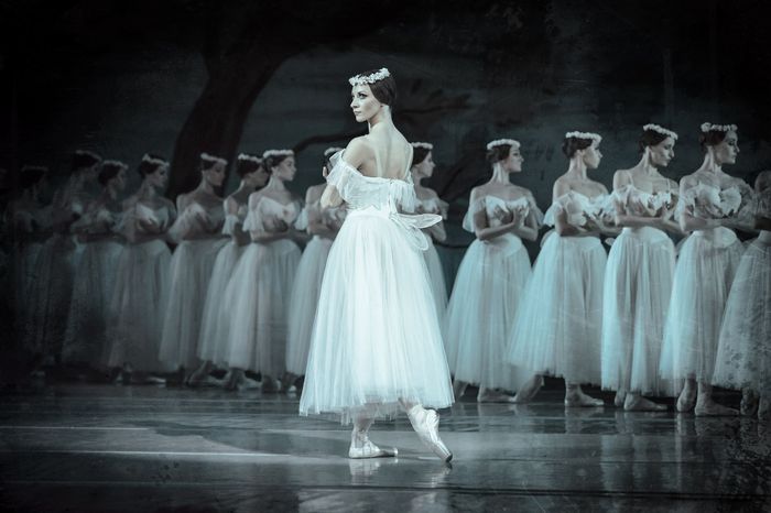 Par le Grand Ballet de Kiev