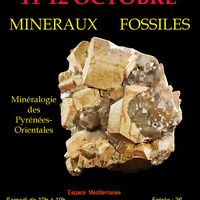 Salon de minéralogie - Minéraux et Fossiles