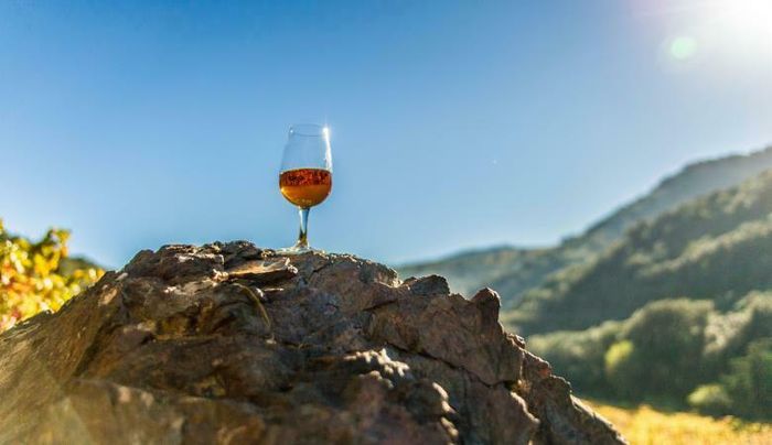 Apéritif vigneron