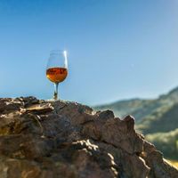 Apéritif vigneron