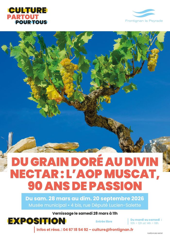 Expo Du grain doré au divin nectar : l’AOP Muscat, 90 ans de passion