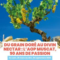 Expo Du grain doré au divin nectar : l’AOP Muscat, 90 ans de passion