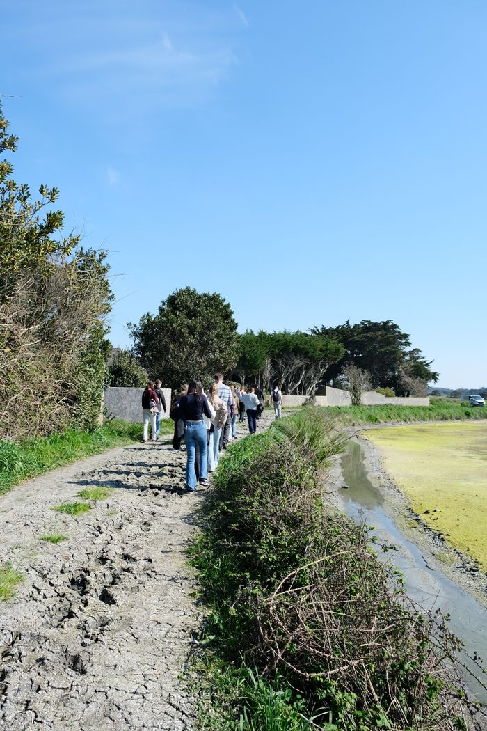 Visite nature dans les marais salants