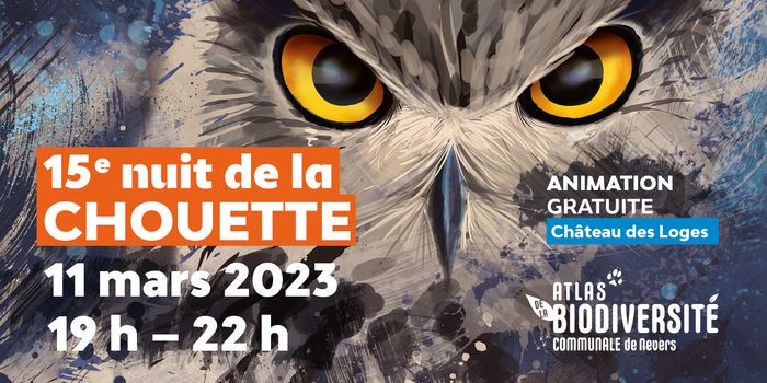 Chouettons-nous bonne chance pour entendre la chouette !