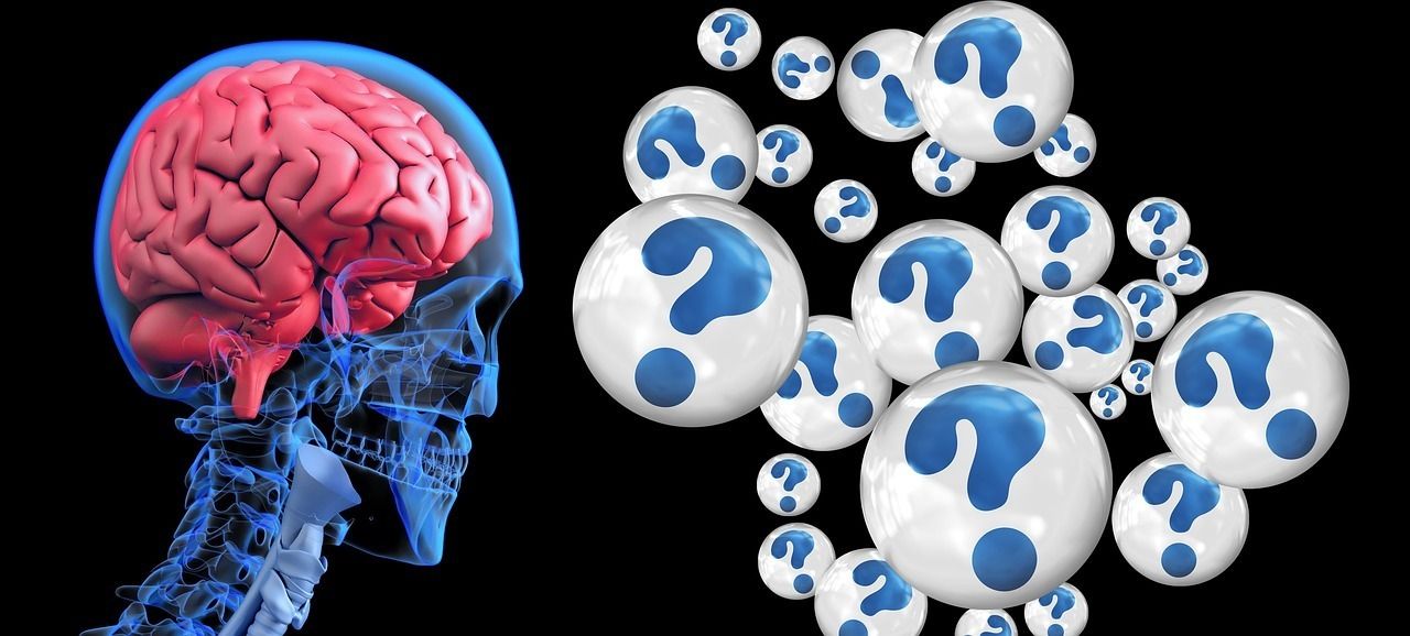Night in English only ! Between anthropology and neuroscience, Jean-Marie Batail delve into the human psyche's depths. Meet at Le Royal on may 15,  at 7pm.