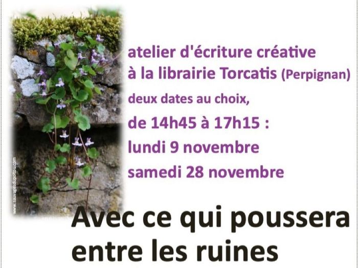 Atelier d'écriture créative - Avec ce qui poussera entre les ruines