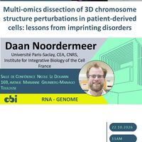 Multi-omics dissection of 3D chromosome structure perturbations in patient-derived cells: lessons from imprinting disorders