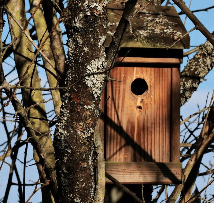 Préparer le jardin pour l’hiver