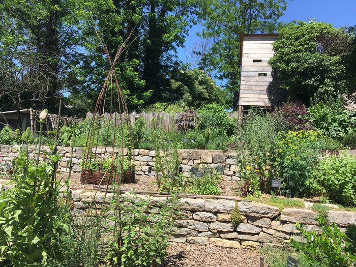Visite guidée du jardin médiéval de l'abbaye de Cendras