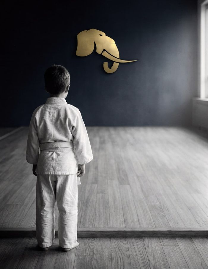 Promotion 2021 : Ouverture de la Liste d'Attente Prioritaire Éveil Judo & JJB (5 ans) - Jamet Sporting Club Bellevue