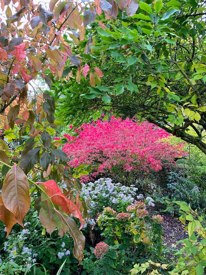 Visite libre du jardin
