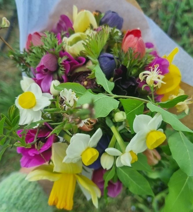 Atelier-Dégustation : fleurs en bouche