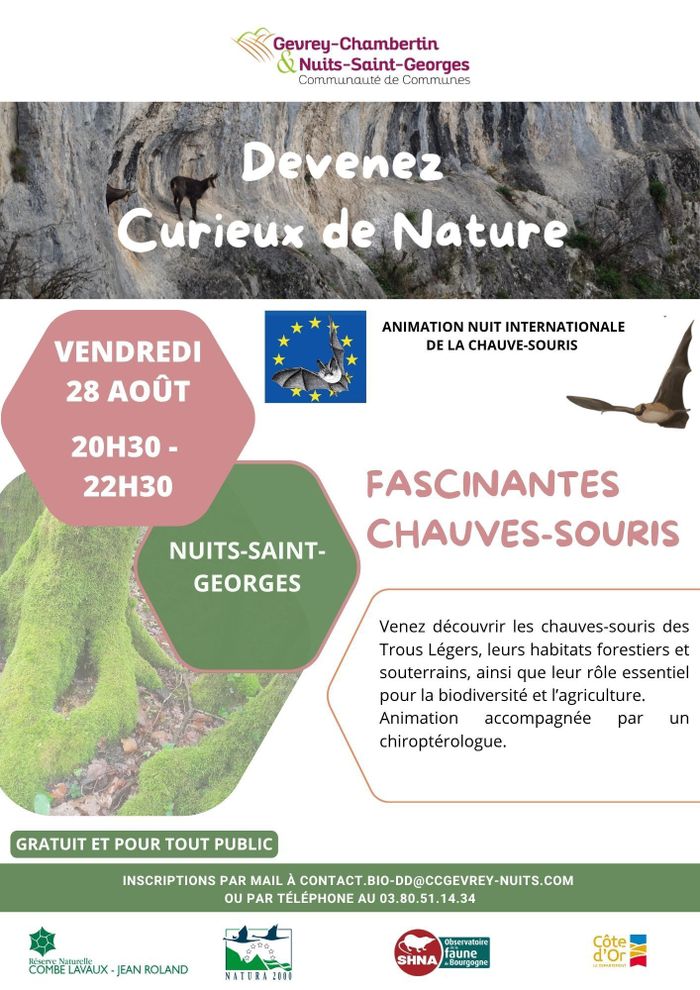 Fascinantes Chauves-souris