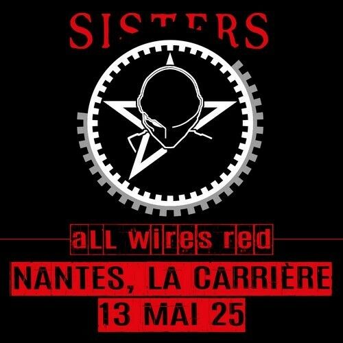 The Sisters of Mercy