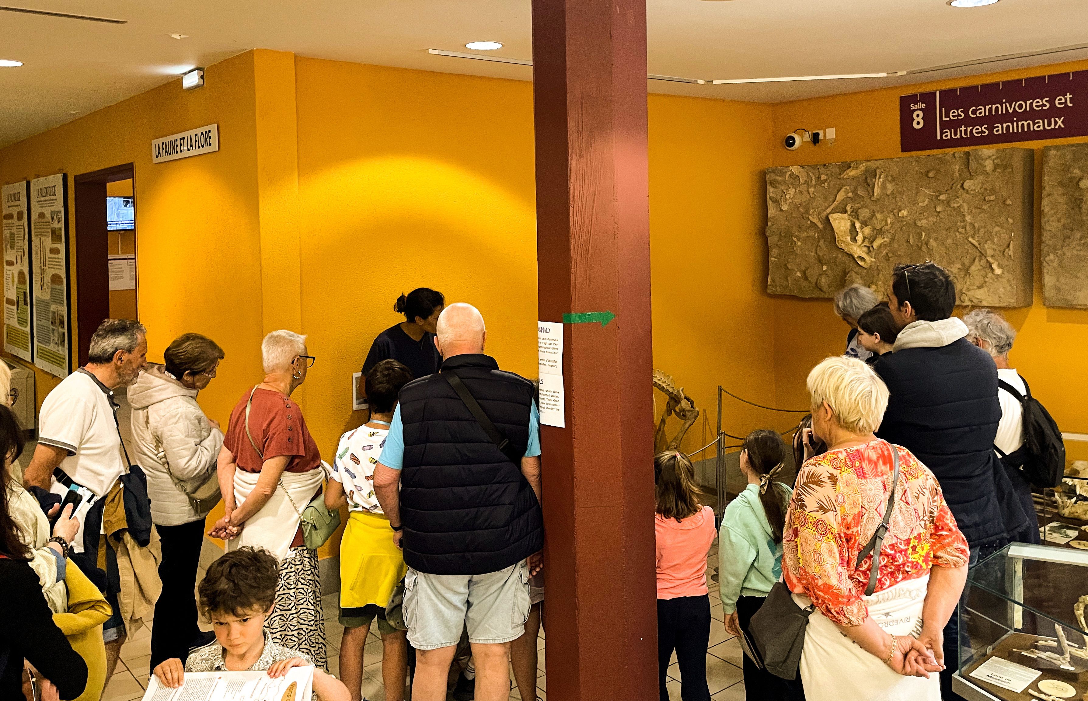 Visites guidées du musée de Tautavel