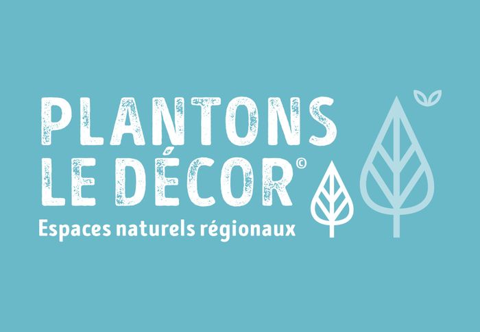 Plantons le décor 