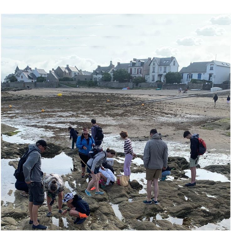 La vie à marée basse à Piriac-sur-Mer